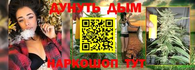альфа пвп Владикавказ