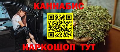 альфа пвп Владикавказ