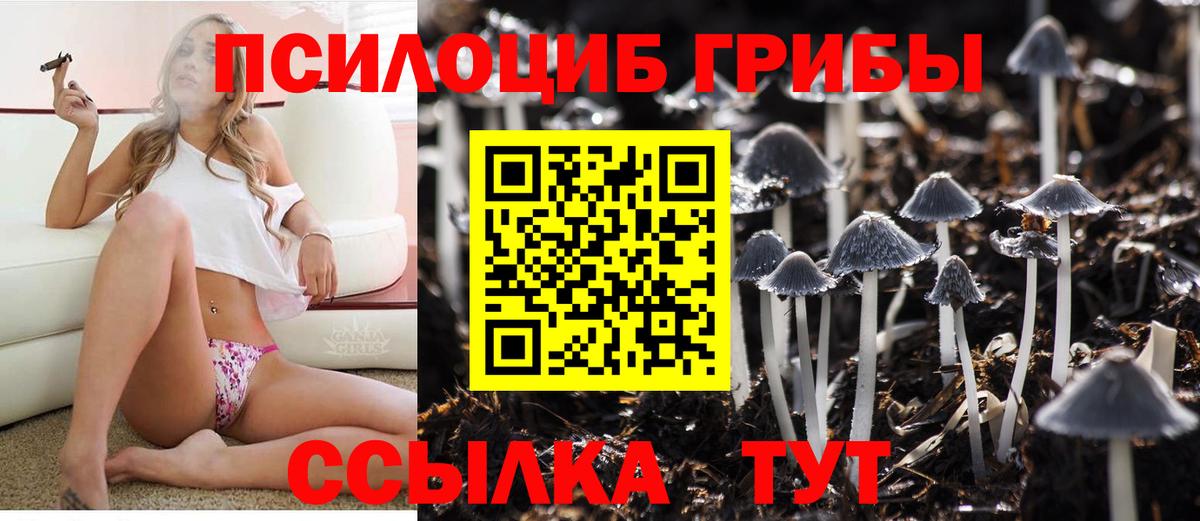 Галлюциногенные грибы Cubensis Десногорск