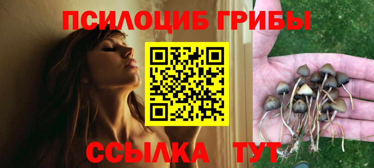 Десногорск  Псилоцибиновые грибы Psilocybe  Вход с VPN  Псилоцибиновые грибы Cubensis 